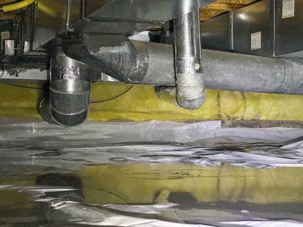 Best Water damage contractors near me  in Elkhart, TX
