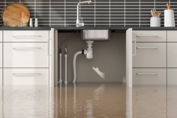 Best Flood damage cleanup  in Elkhart, TX