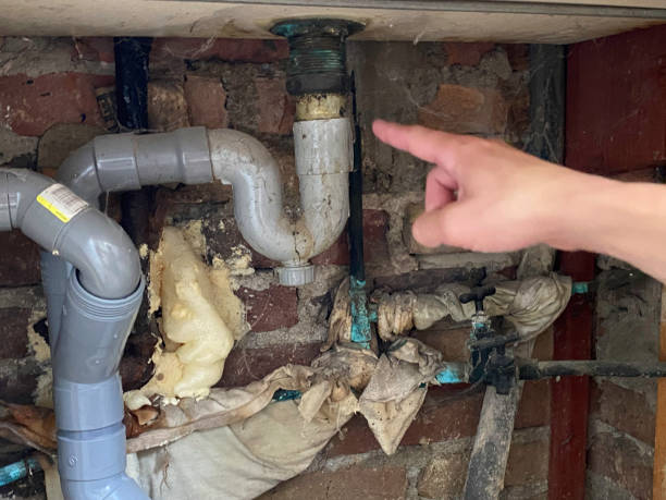 Best Flooded house restoration  in Elkhart, TX